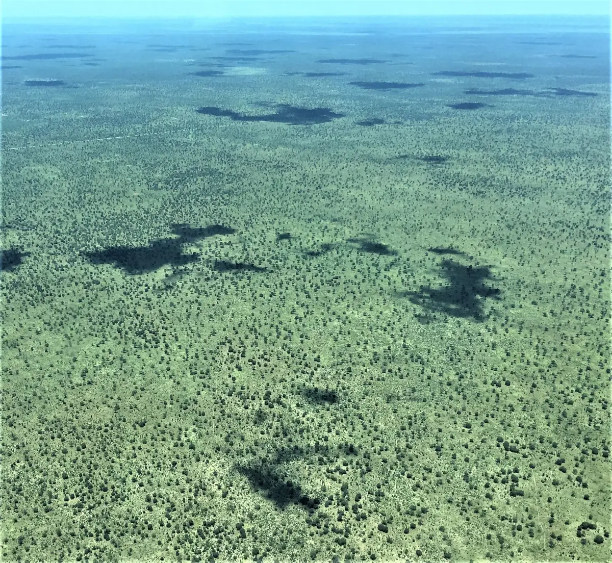 Aerial view of the green Chobe floodplain with shadows of clouds