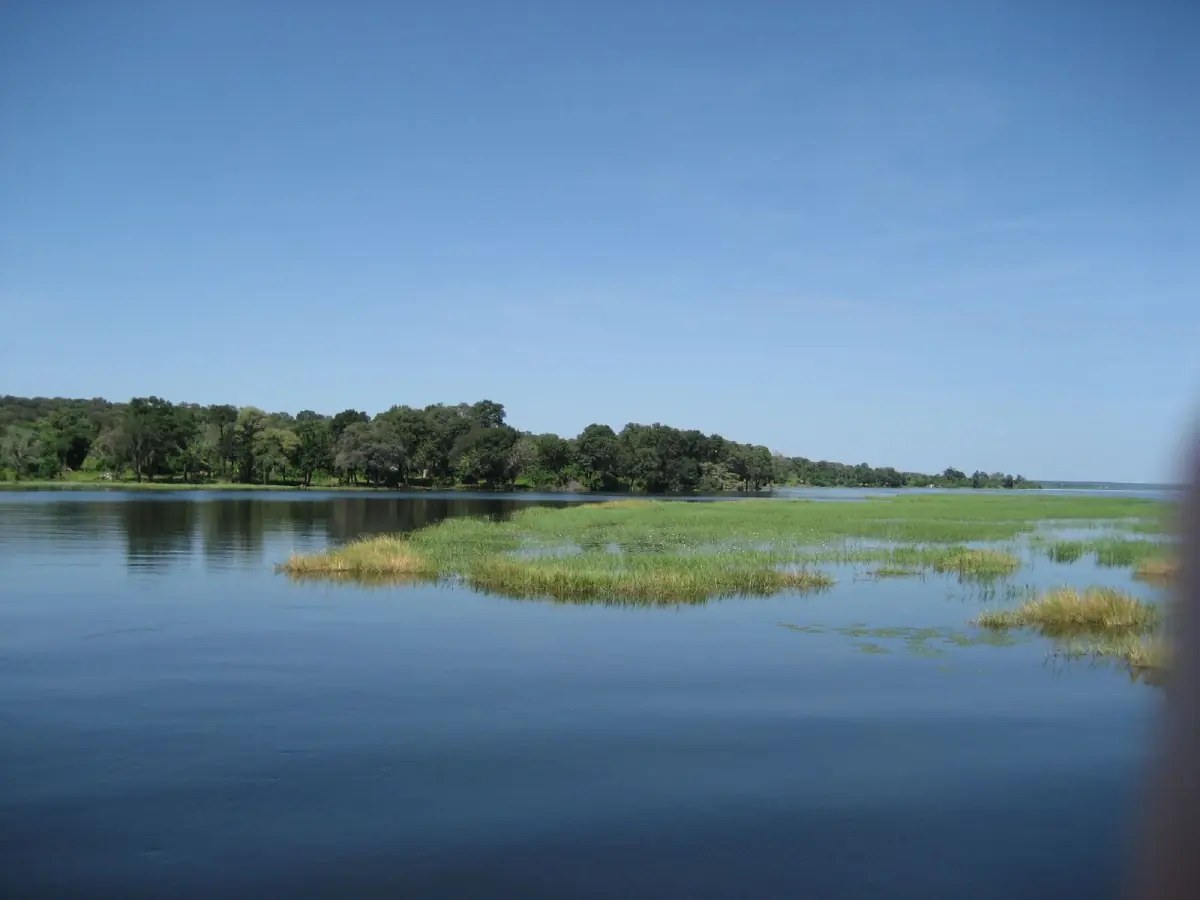 The Chobe River with reed islands, seen from a boat