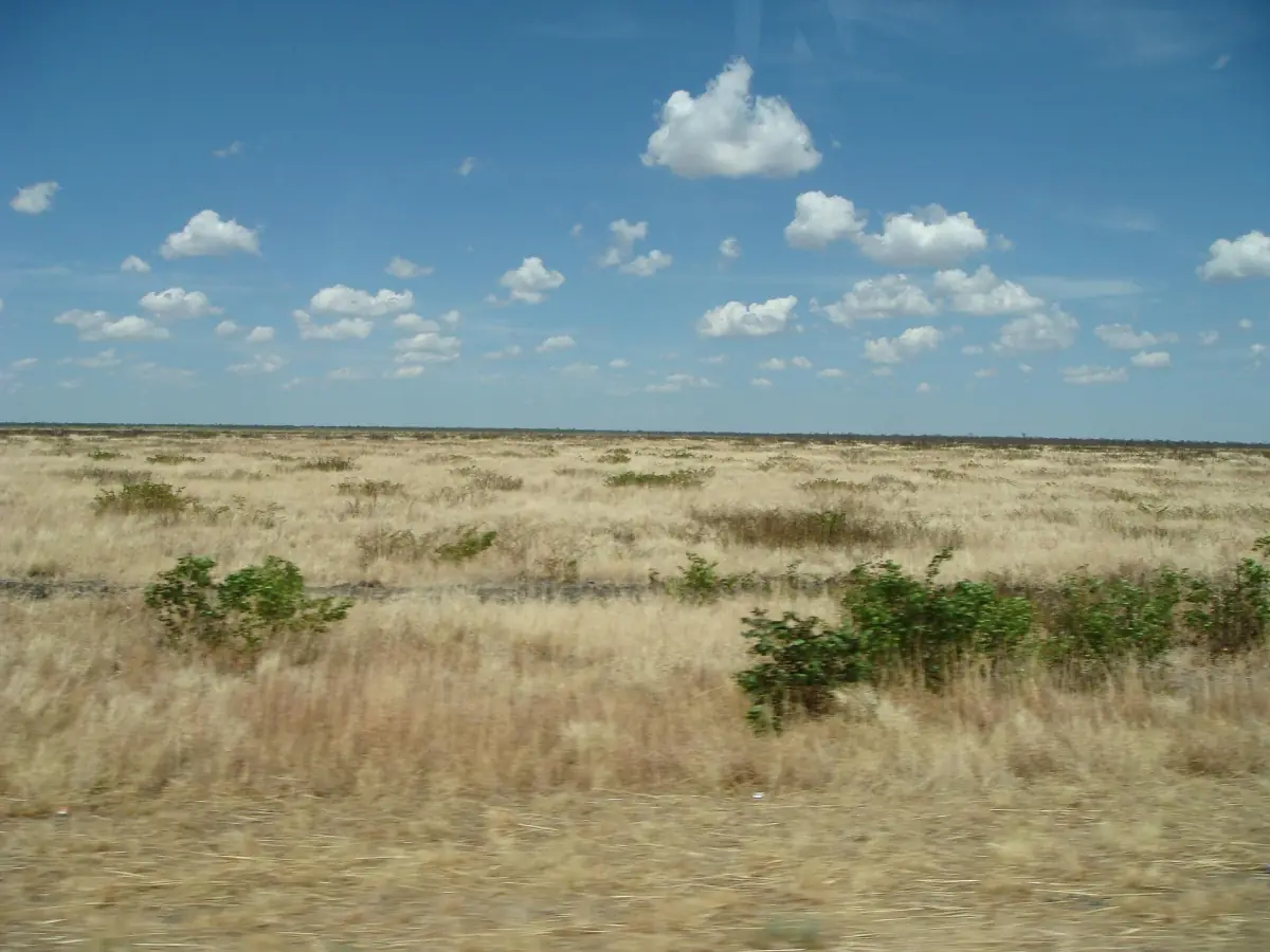 Green grassland under scattered clouds near Chobe