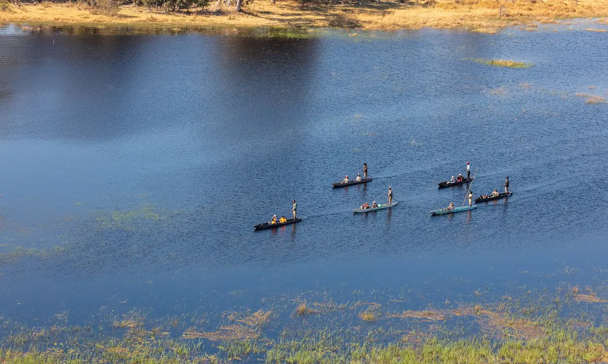Several mokoro canoes on blue channels of the Okavango Delta