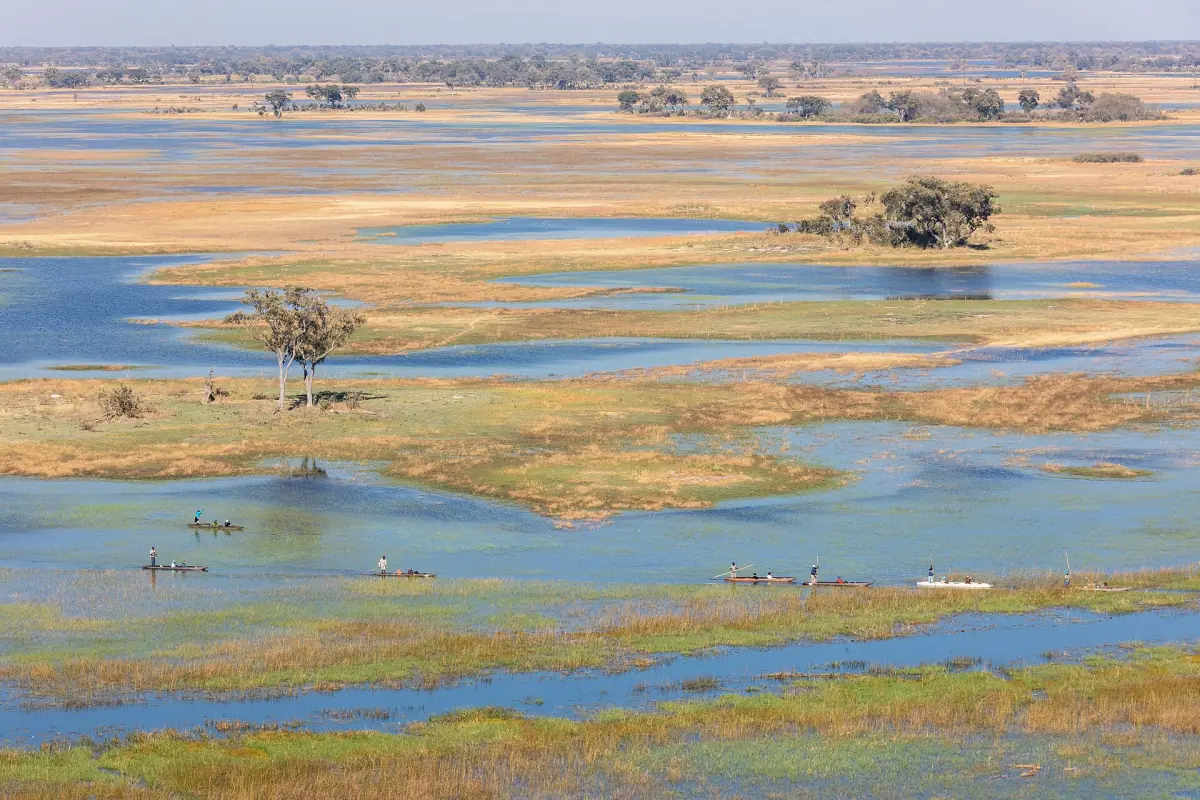 Aerial view of islands and channels in the Okavango Delta