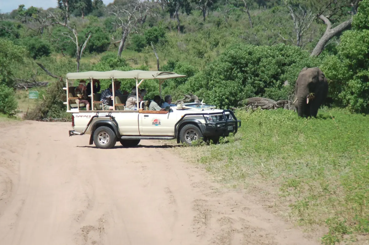 An open safari vehicle on a sandy track with an elephant nearby